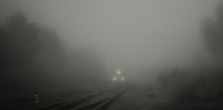 Ile godzin podawać CO2 w akwarium?