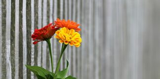 Jak wzmocnić ogrodzenie przed wiatrem?