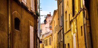 Jaką piłkę do siatki wybrać? Jaką piłkę do siatki wybrać?