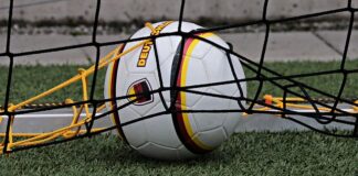 Czym się różni pole bramkowe od pola karnego?