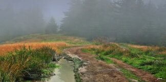 Jak podjechać pod górkę na lodzie?