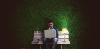 Jak wysoki może być żywopłot między sąsiadami?